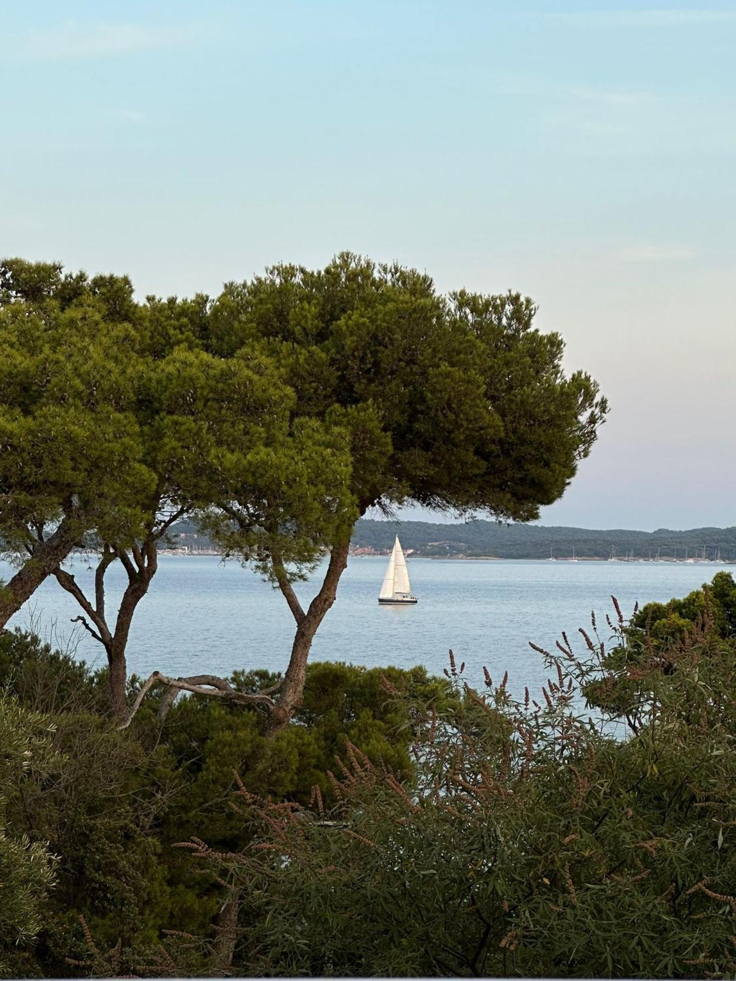 L'Instant Plage - Vue Mer - Bord De Plage - La Capte - Cote D'Azur Hyères Exteriör bild